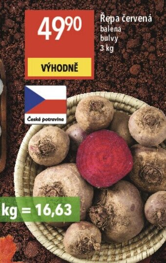 Globus Řepa červená nabídka