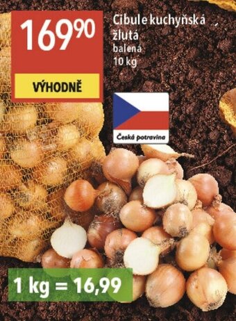 Globus Cibule kuchyňská žlutá nabídka