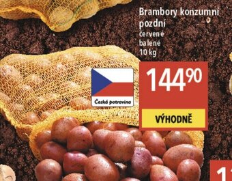 Globus Brambory konzumní pozdní nabídka