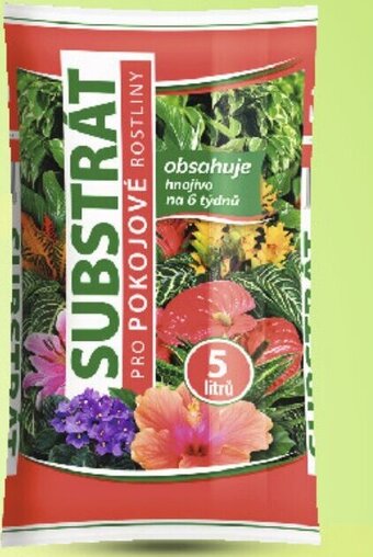 Globus Substrát pro pokojové rostliny nabídka