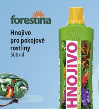 Globus Hnojivo pro pokojové rostliny 500 ml nabídka