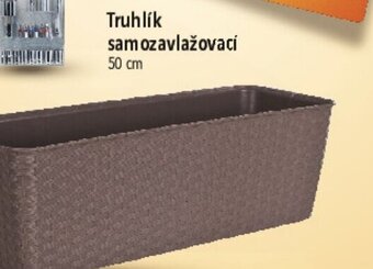 Globus Truhlík samozavlažovací nabídka