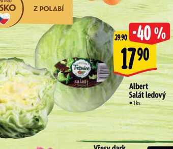 Albert Albert salát ledový 1ks nabídka
