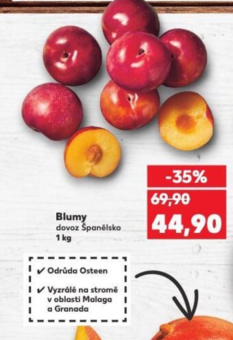Kaufland Blumy nabídka