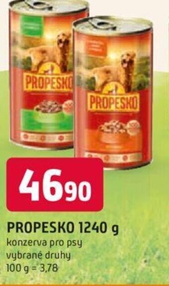 Trefa PROPESKO 1240 g nabídka