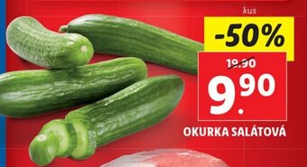 Lidl OKURKA SALÁTOVÁ nabídka
