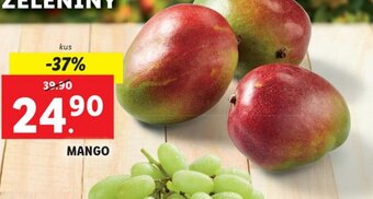 Lidl MANGO nabídka