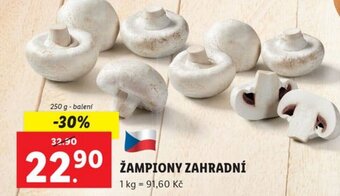 Lidl ŽAMPIONY ZAHRADNÍ nabídka