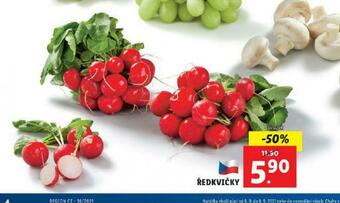 Lidl Ředkvičky nabídka