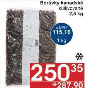 Jip Borůvky kanadské kultivované, 2,5 kg nabídka