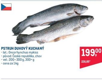 Makro PSTRUH DUHOVÝ KUCHANÝ nabídka