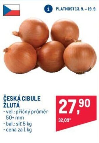 Makro ČESKÁ CIBULE ŽLUTÁ nabídka