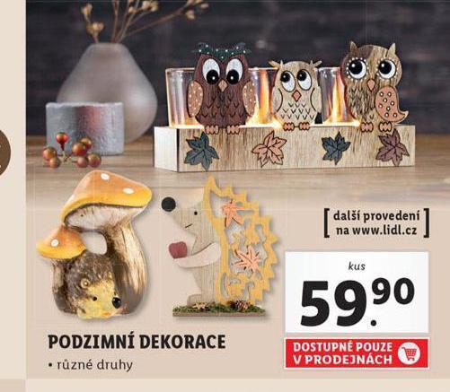 Lidl Podzimní dekorace nabídka