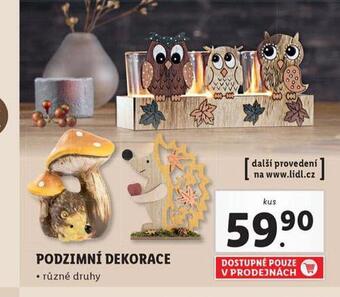 Lidl Podzimní dekorace nabídka