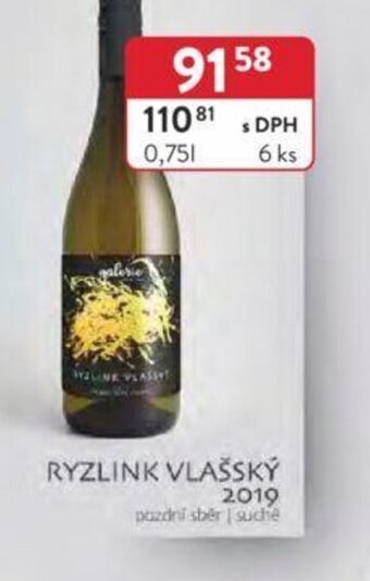 Qanto RYZLINK VLAŠSKÝ 2019 nabídka