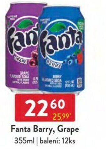 Qanto Fanta Barry, Grape 355ml nabídka
