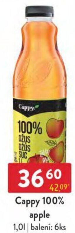 Qanto Cappy 100% apple 1.0L nabídka