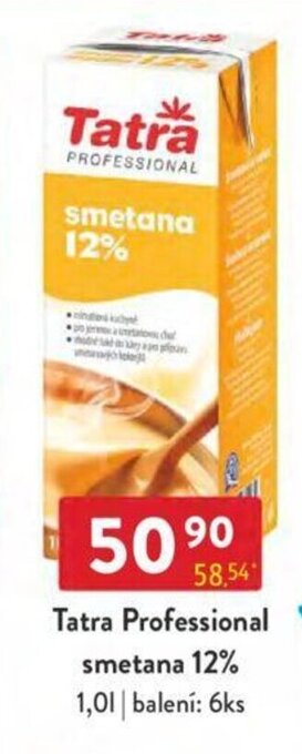 Qanto Tatra Professional smetana 12% 1.0 l. nabídka