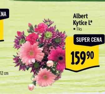 Albert Kytice l nabídka