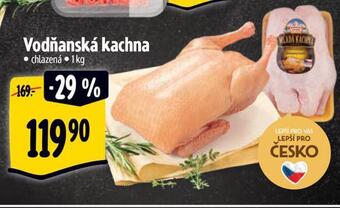 Albert Vodňanská kachna nabídka