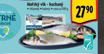 Albert Mořský vlk kuchaný nabídka