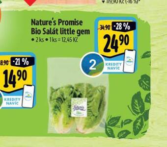 Albert Bio salát little gem nabídka