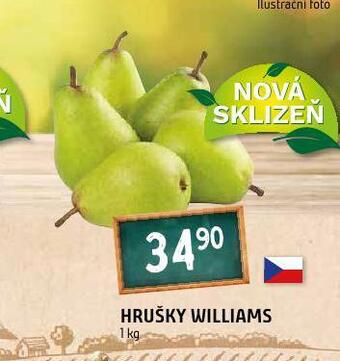 Terno Hrušky nabídka