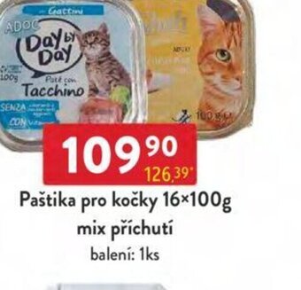 Qanto Paštika pro kočky 16x100g mix příchutí nabídka