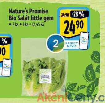 Albert Nature's promise bio salát little gem • 2 ks nabídka