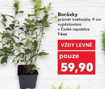 Kaufland Borůvky nabídka