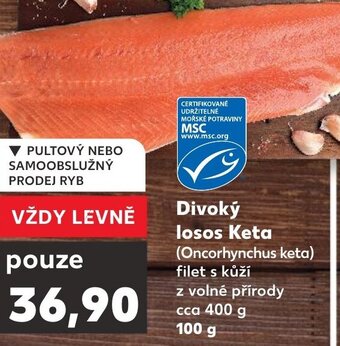 Kaufland Divoký losos Keta nabídka