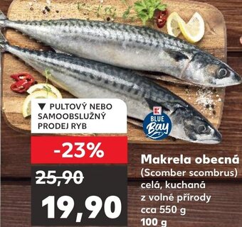 Kaufland Makrela obecná nabídka