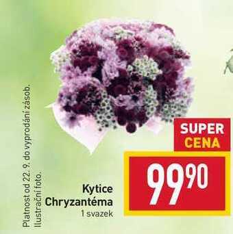 Billa Kytice chryzantéma 1 svazek nabídka