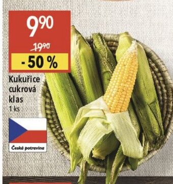 Globus Kukuřice cukrová klas nabídka