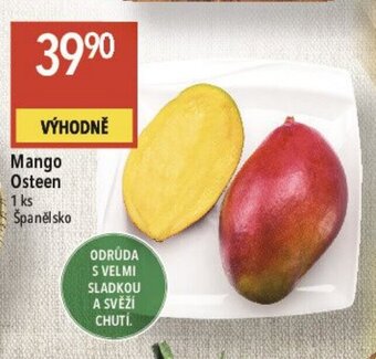 Globus Mango Osteen nabídka