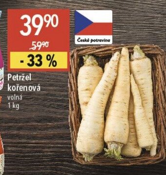 Globus Petržel kořenová nabídka