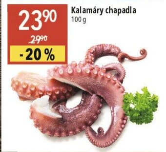 Globus Kalamáry chapadla 100 g nabídka