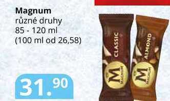 Potraviny CZ Magnum různé druhy 85 - 120 ml nabídka