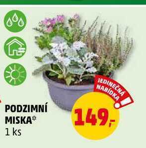 Penny Market Podzimní miska, 1 ks nabídka