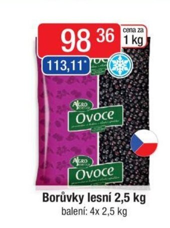 Qanto Borůvky lesní 2,5 kg nabídka