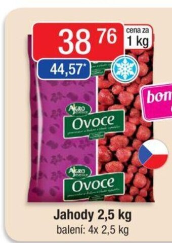 Qanto Jahody 2,5 kg nabídka