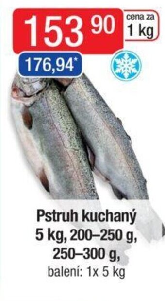 Qanto Pstruh kuchaný 5 kg, 200-250 g, 250-300 g nabídka
