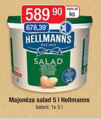 Qanto Majonéza salad 5 l Hellmanns nabídka