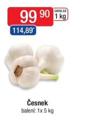 Qanto Česnek nabídka
