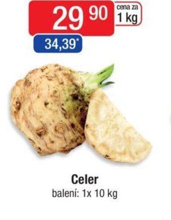 Qanto Celer nabídka