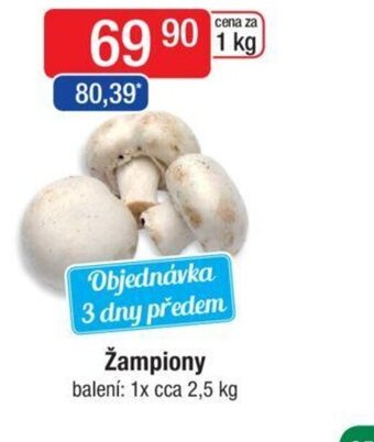 Qanto Žampiony nabídka