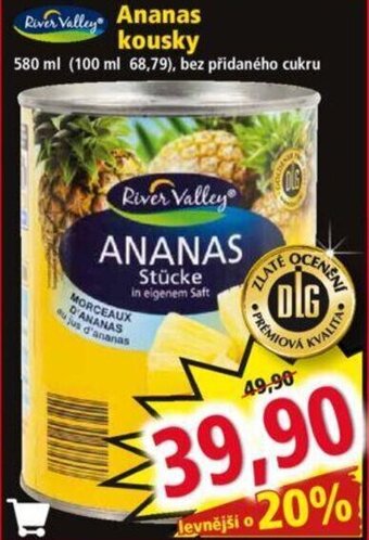 Norma Ananas kousky nabídka