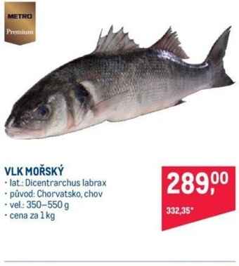 Makro VLK MOŘSKÝ nabídka
