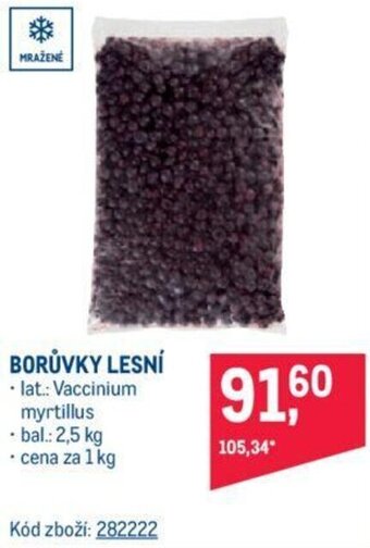 Makro BORŮVKY LESNÍ nabídka