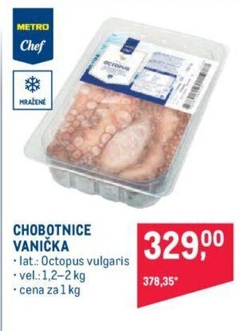 Makro CHOBOTNICE VANIČKA nabídka